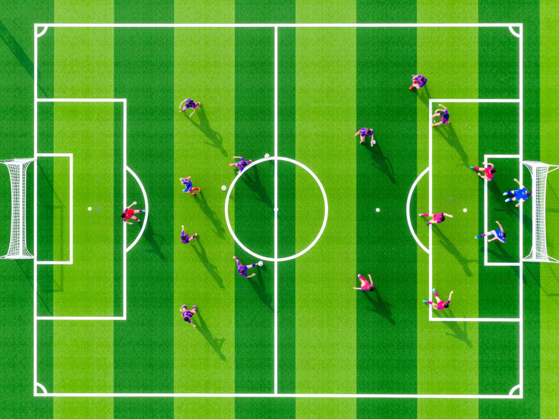 爱游戏体育娱乐-体育志愿者表彰大会举行 讲述幕后故事，体育展示志愿者  第1张