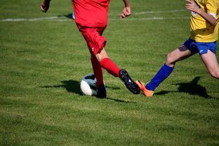 爱游戏平台-“拳王争霸：四川省体育馆拳击赛将诞生新的世界拳王”