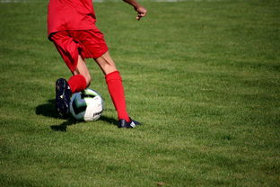 爱游戏下载-体育新闻中心发布体育赛事AI辅助裁判系统,ai裁判 体操 第2张